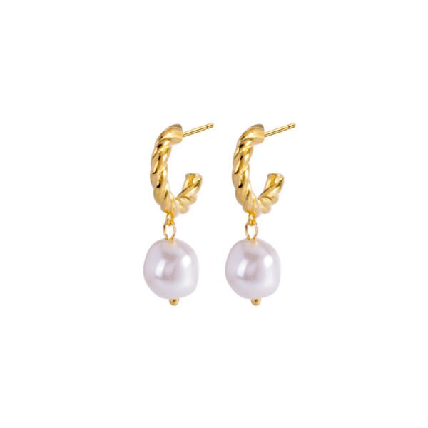 Small Design Sense Of High Quality French Earrings Earrings 5