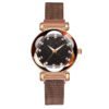 Niche, Vibrato, The Same Watch, Starry Sky Magnet Watch, Rose Gold Watch Head, Big Diamond watches 14 Niche, Vibrato, The Same Watch, Starry Sky Magnet Watch, Rose Gold Watch Head, Big Diamond watches 14