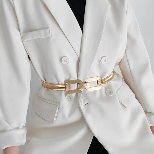 New Women’s Metal Spring Waist Chain With Gold Elastic Square Buckle High-grade Elegant Coat Belt Other 4