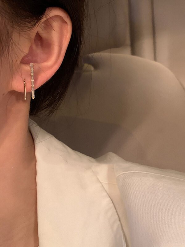 Fashion earrings with sterling silver needles Earrings 4