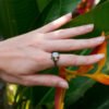 Color separation tree leaf ring Rings 11 Color separation tree leaf ring Rings 11