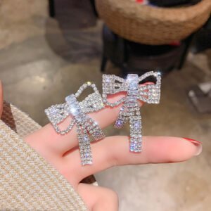 Silver Needle Super Zircon Earrings Women’s Temperament Long Style Earrings Silver Needle Super Zircon Earrings Women’s Temperament Long Style Earrings