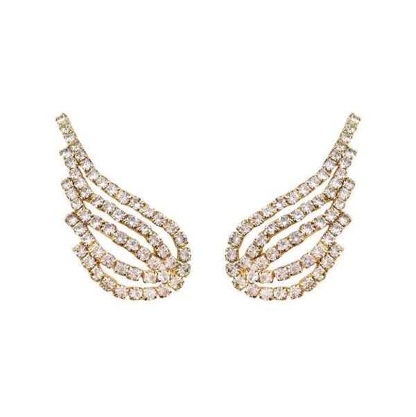 Angel wings earrings Earrings 7