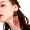 Color Beizhu Earrings Earrings 14