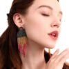 Color Beizhu Earrings Earrings 15