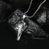Vintage Viking Crow Skull Eagle Beak Pendant Accessories 9