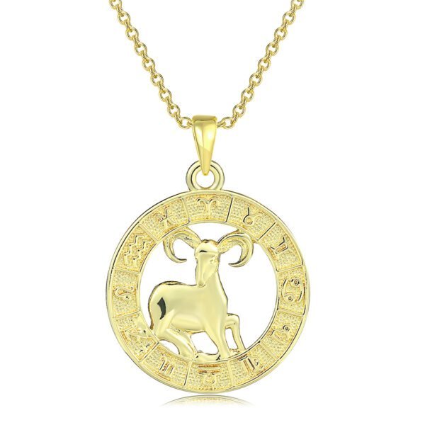 12 Constellation Gold Coin Pendant Necklace With 14K Gold Plating Necklaces 5