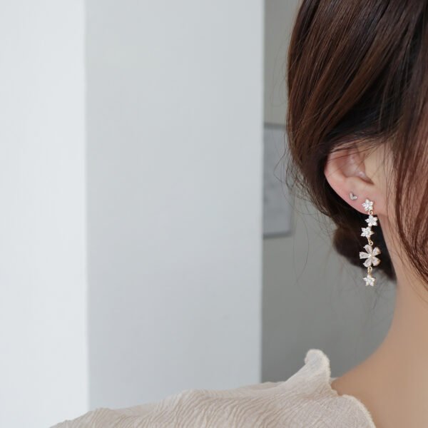 Micro-inlaid Zircon Full Diamond Light Luxury Earrings Earrings 6