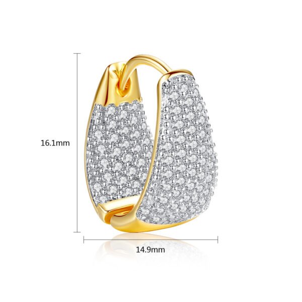 Qiuling Earrings Are Plated With 18K Genuine Gold, Simple European And American Women’S Zircon Earrings, A Hair Substitute Earring Earrings 3