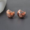 Fashion All-match Minimalist Antique Personality Exaggerated Earrings Earrings 12