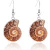 Natural Snail Ammonite Spiral Shell Fossil Earrings Earrings 8