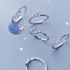 Zodiac Sign Ring Rings