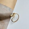 Golden multidimensional twisted geometric ring Rings 8