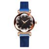 Niche, Vibrato, The Same Watch, Starry Sky Magnet Watch, Rose Gold Watch Head, Big Diamond watches 12 Niche, Vibrato, The Same Watch, Starry Sky Magnet Watch, Rose Gold Watch Head, Big Diamond watches 12