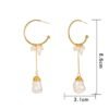 Temperament Long Tassel Pearl Personality c-shaped Metal Natural Small Pearl earring girl Earrings 18