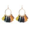 European And American New Su Earrings Women’s Fan-shaped Color Earrings 19