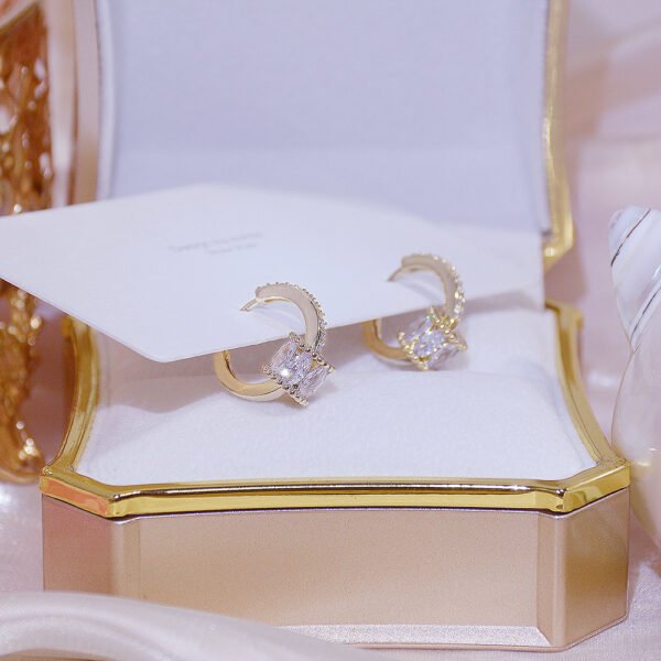 Real Gold Good Luck Implication Earring For Women Rotatable Zirconia Clip Earring Earrings 6