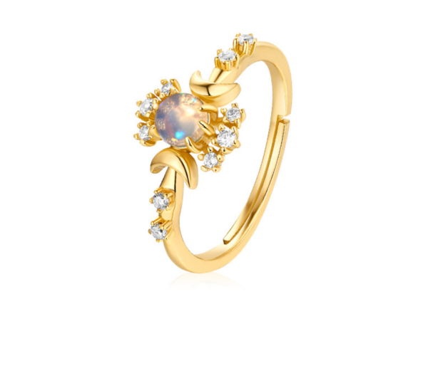 Sterling silver plated 9K gold ring Rings 4