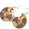 Natural Snail Ammonite Spiral Shell Fossil Earrings Earrings 9