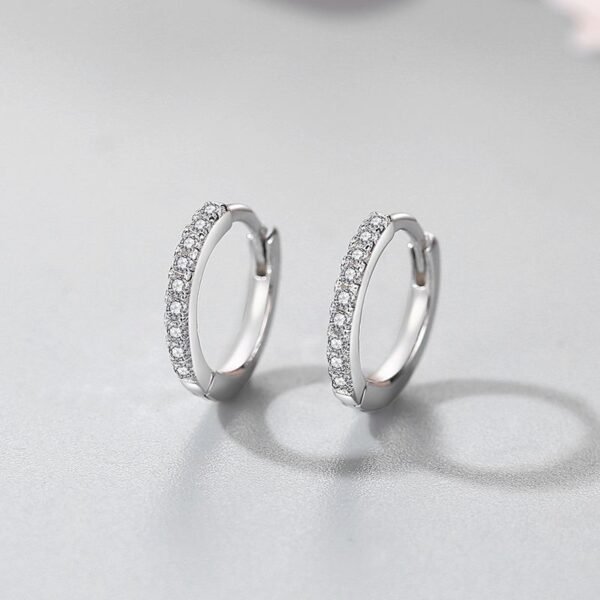 S925 Sterling Silver Micro Diamond Earrings Earrings 7