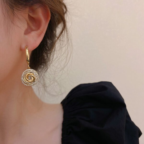 Diamond Circle 925 Silver Needle Earrings Earrings 6