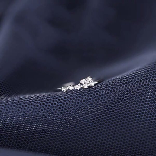 S925 Silver Twelve Constellation Ring Female Rings 6
