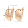 Rose Gold Simple Oval Earrings For Women Earrings 14