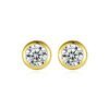 Wild earrings in 14K gold with zircon Earrings 9