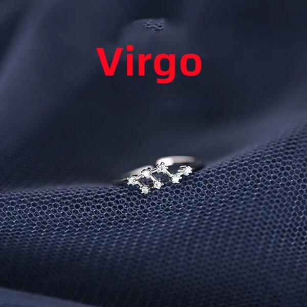 Zodiac Sign Ring Rings 10