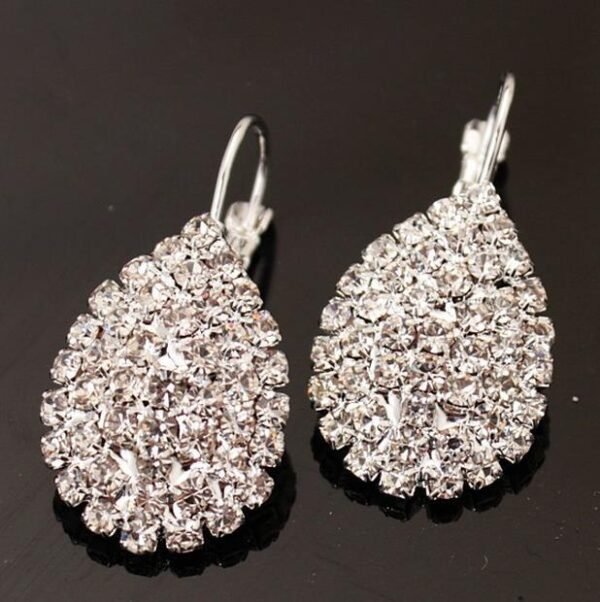 Fashion Exquisite Jewelry Popular Hot Sale Expedition Burst Models Diamond Claw Chain Earrings Female Earrings 5