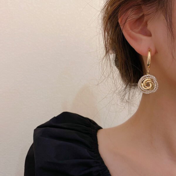 Diamond Circle 925 Silver Needle Earrings Earrings 4