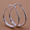 European And American Creative Ear Hoop Earrings Earrings 14