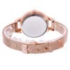 Harmony Sale Pin Buckle Round Glass Rose Gold Stainless Steel Mesh Belt Watch For Women watches 9