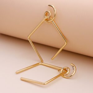 Metal line geometric earrings Earrings
