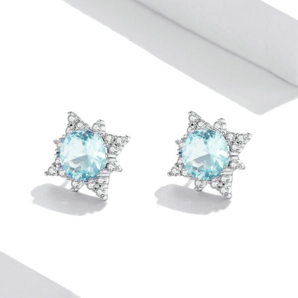 Platinum-plated Shining Star Earrings Female Niche Design High Sense Earrings 6