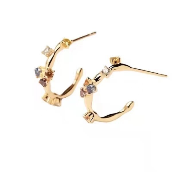 Women’s Gold-plated S925 Stud Earrings Earrings 11