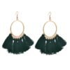 European And American New Su Earrings Women’s Fan-shaped Color Earrings 17