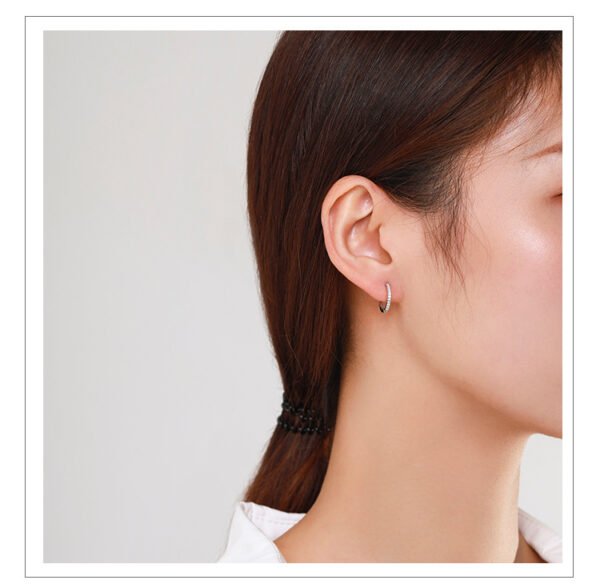 S925 Sterling Silver Micro Diamond Earrings Earrings 8