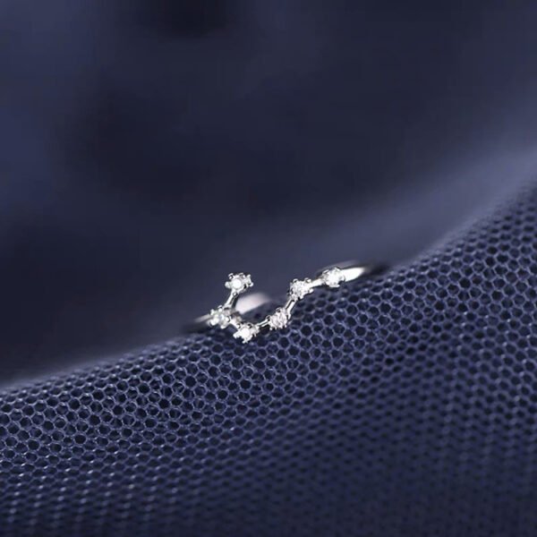 S925 Silver Twelve Constellation Ring Female Rings 4