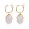 European And American High-end Super Fairy Earrings Earrings 13