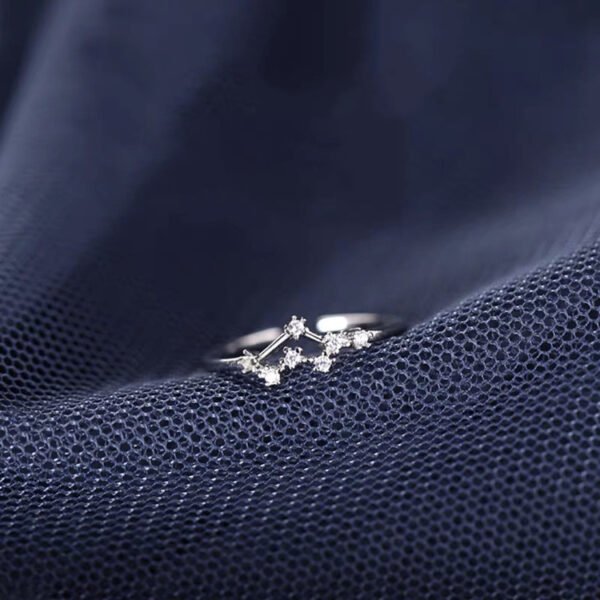 S925 Silver Twelve Constellation Ring Female Rings 5