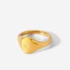 Gold Plated Water Resistant Stainless Steel Constellation Signet Ring Rings 17 Gold Plated Water Resistant Stainless Steel Constellation Signet Ring Rings 17