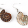 Natural Snail Ammonite Spiral Shell Fossil Earrings Earrings 12