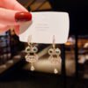 Silver Pin Owl Earrings Female Fashion Micro Inlay Earrings 13