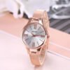 Harmony Sale Pin Buckle Round Glass Rose Gold Stainless Steel Mesh Belt Watch For Women watches 10