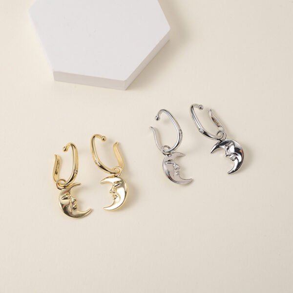 Temperament Niche Design Female Personality Earrings Earrings 4