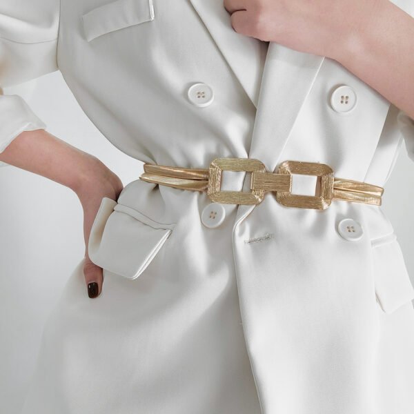 New Women’s Metal Spring Waist Chain With Gold Elastic Square Buckle High-grade Elegant Coat Belt Other 5