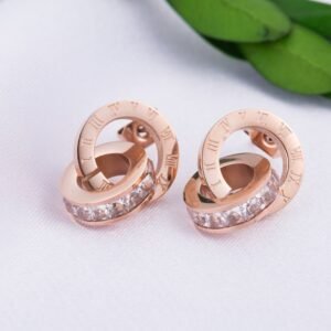 New Earrings Rose Gold Titanium Steel Earrings Women Double Ring Popular Earrings Earrings