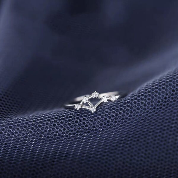 S925 Silver Twelve Constellation Ring Female Rings 9