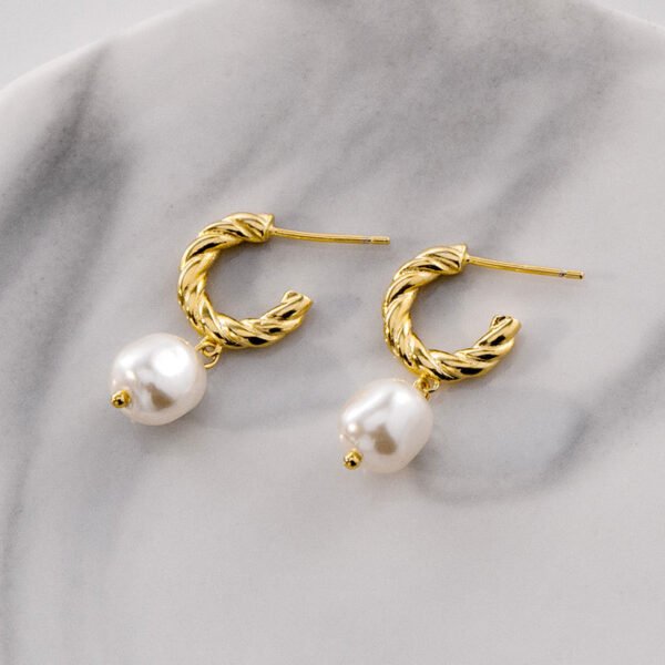 Small Design Sense Of High Quality French Earrings Earrings 7